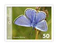 Stamp "Common blue butterfly"