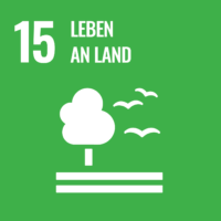 Icon SDG 15: Leben an Land