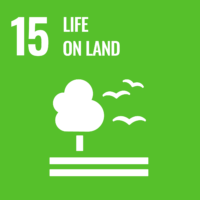 Icon SDG 15: Life on Land